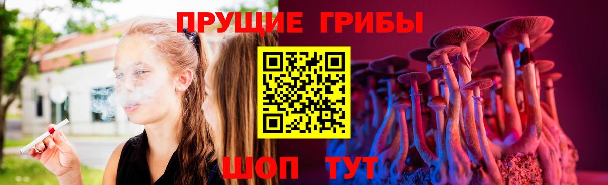 Осинники  Галлюциногенные грибы мицелий  Вход с VPN 